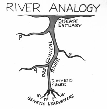 visual analogy